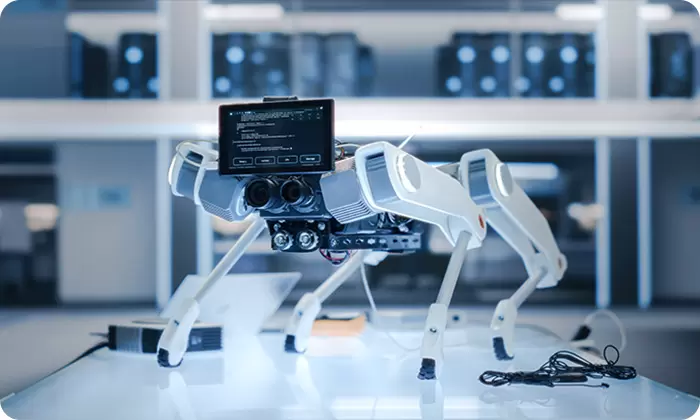 หุ่นยนต์สี่ขา